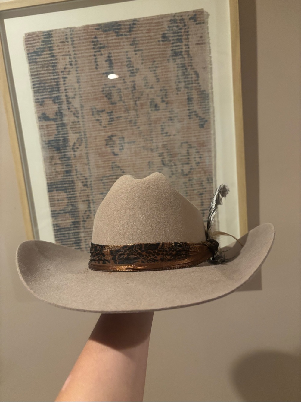 Beige Felt Western Hat with Decorative Band and Feather